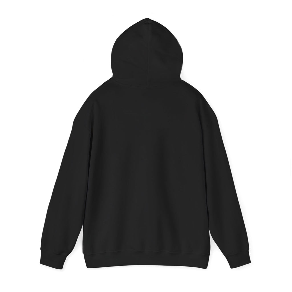 "youre doing better than you think" hoodie