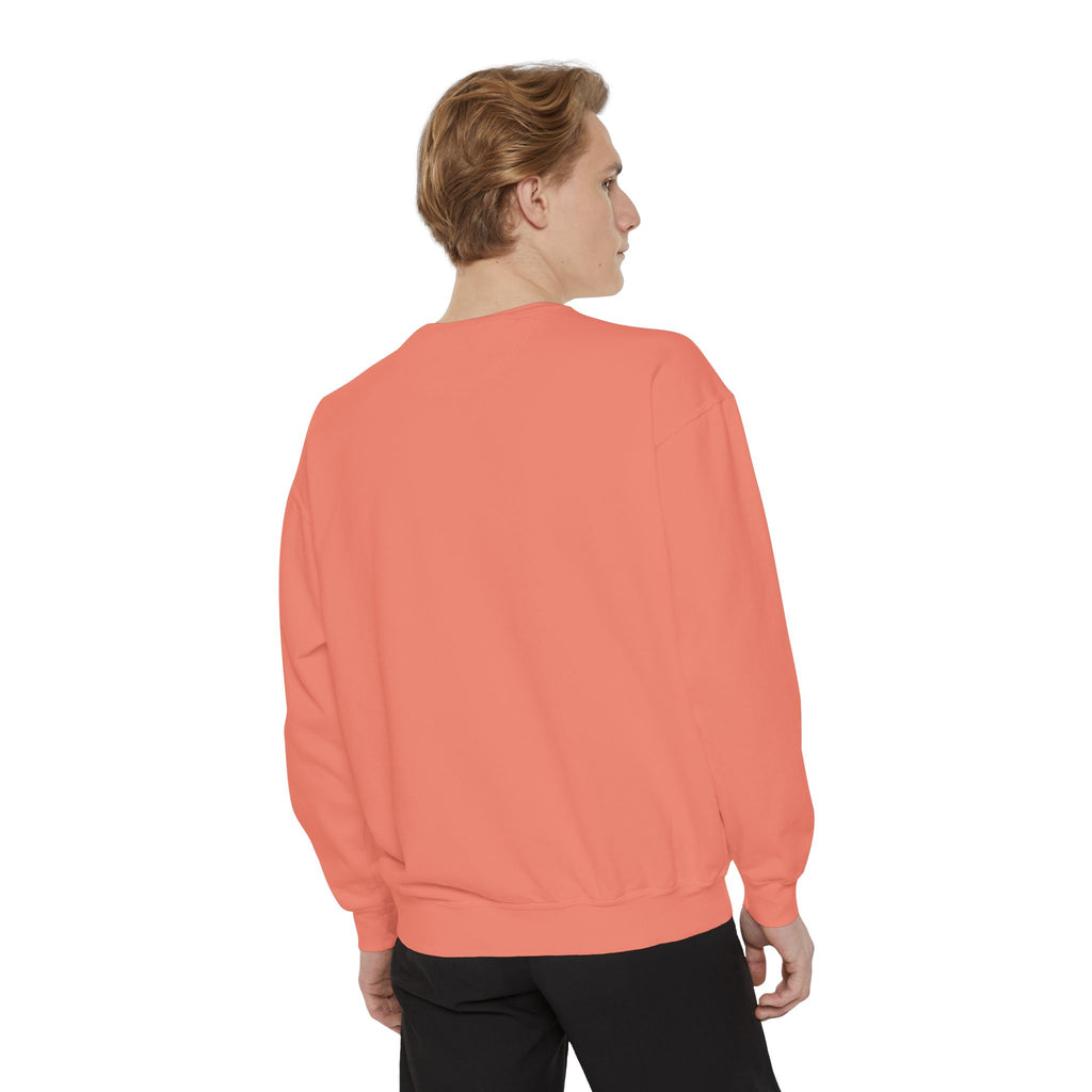 "try intelligence" crew neck sweatshirt
