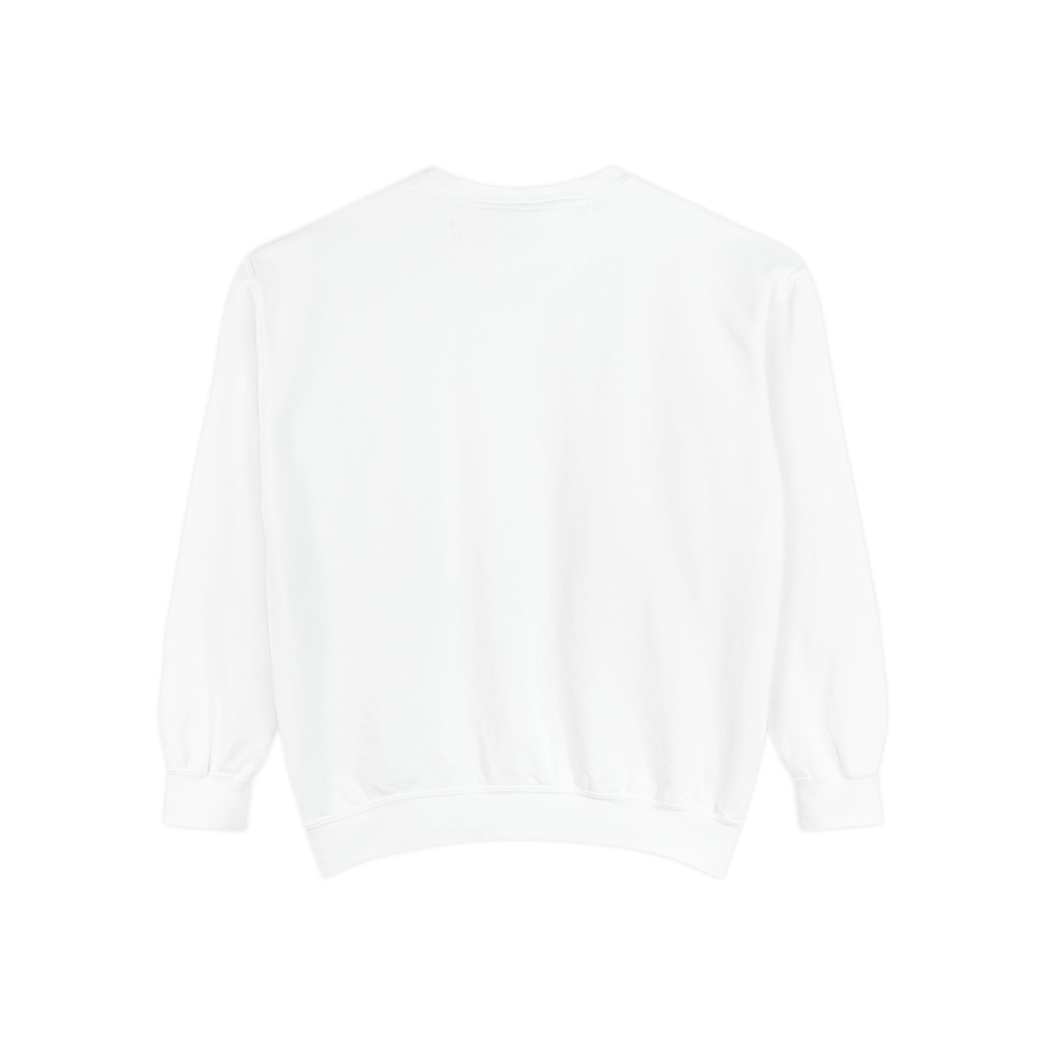 "try intelligence" crew neck sweatshirt