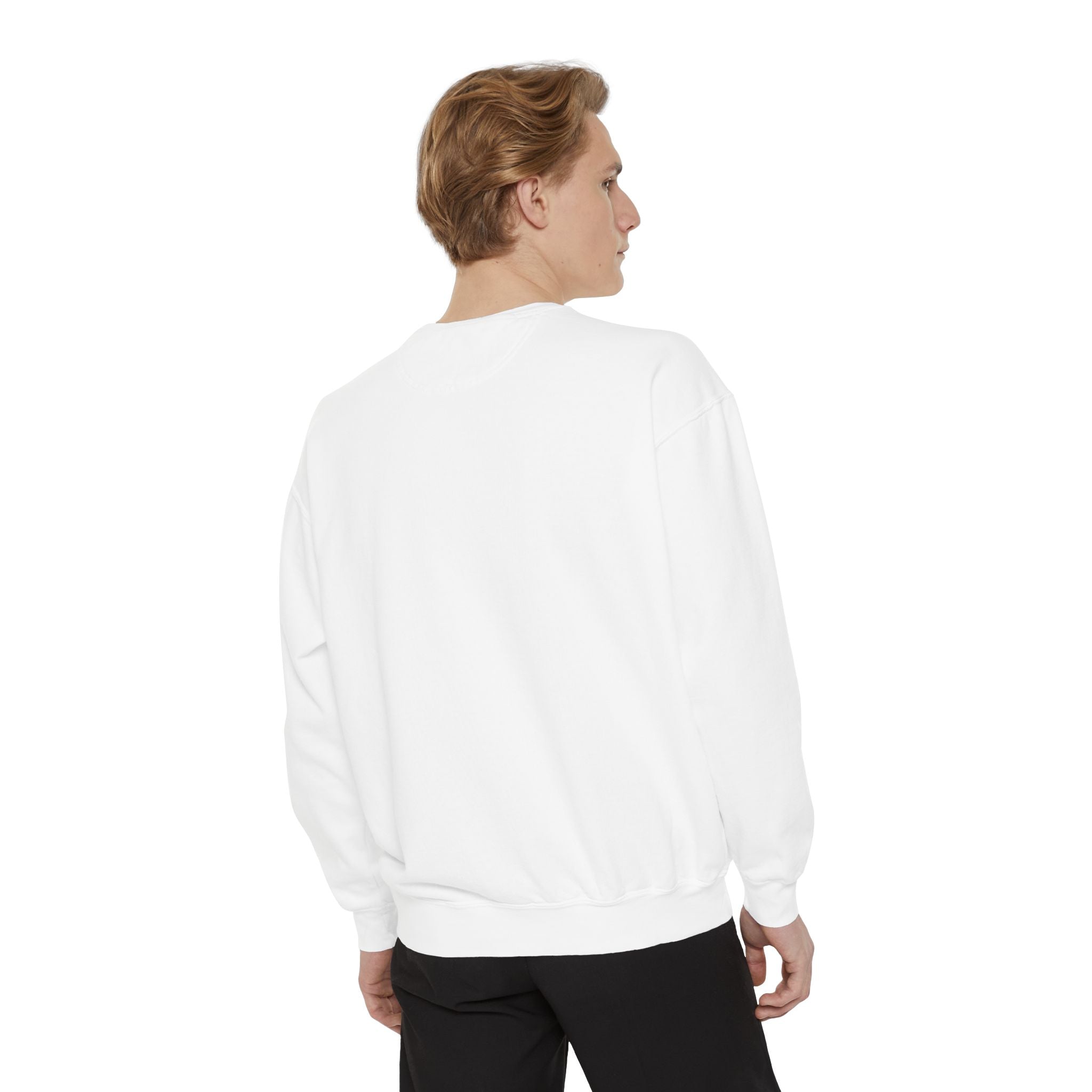 "try intelligence" crew neck sweatshirt