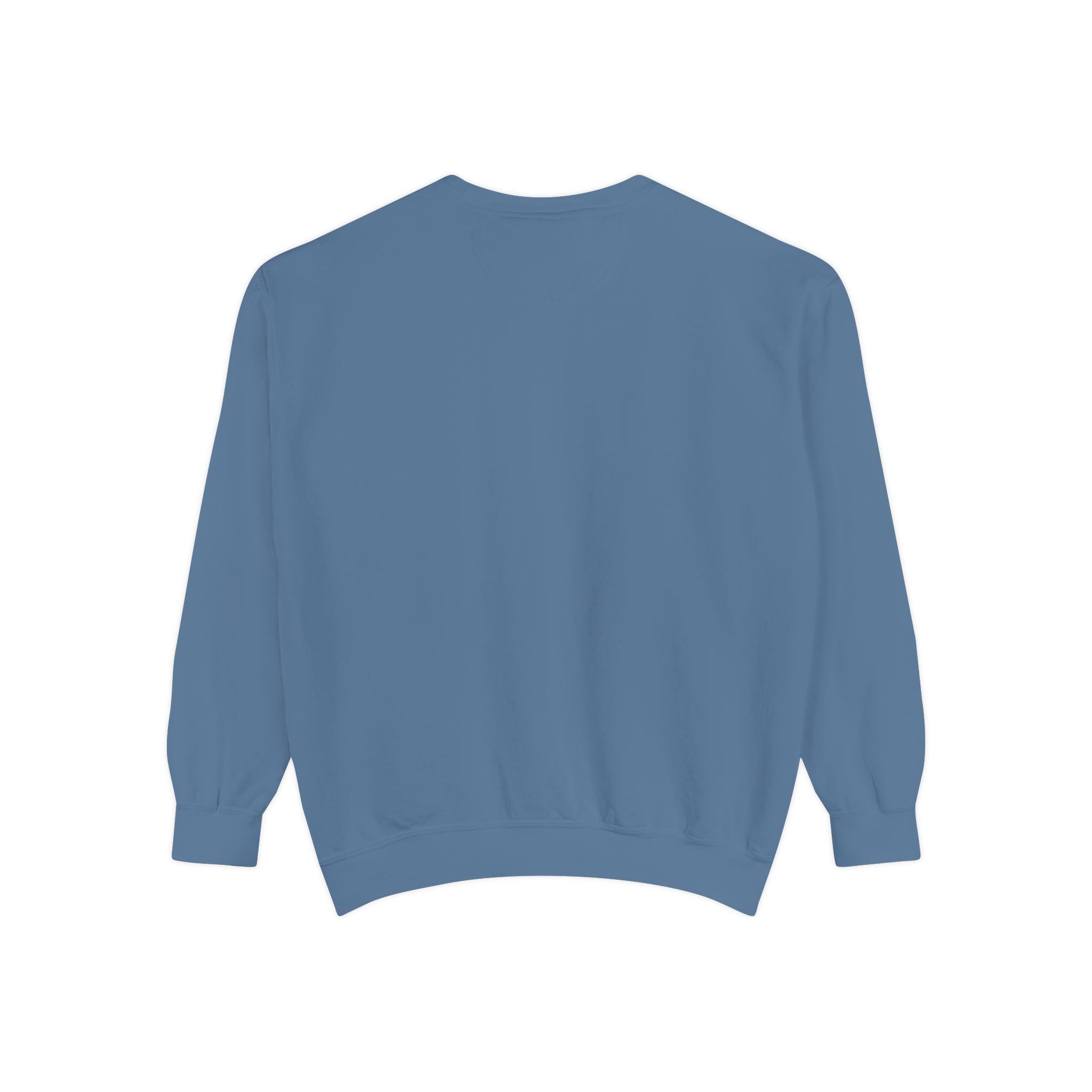 "try intelligence" crew neck sweatshirt